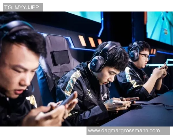 王者荣耀RNG逆袭之旅全景纪实揭示团队成长与荣耀背后的故事实时新闻